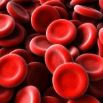Gambar sel darah merah manusia