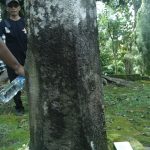 Barang bersejarah yoni miring