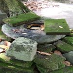 Situs Jladri di Dusun Gondang Desa Sumber Gondang Kecamatan Kabuh Kabupaten Jombang Jawa Timur